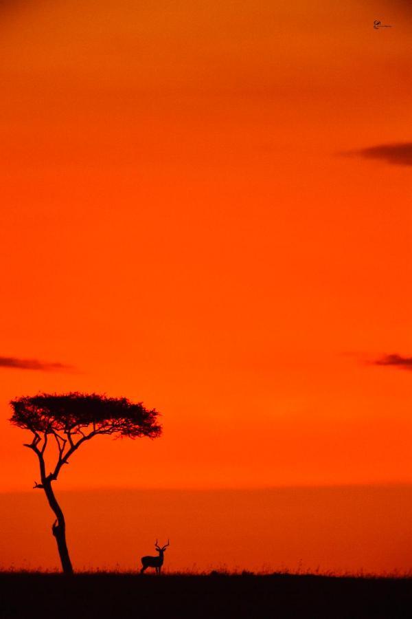 Lorian Safari Camp Limited Hotel Narok Bagian luar foto
